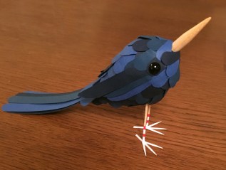 PASSERIDAE CAERULUS TIBIALIA&nbsp;ALBA